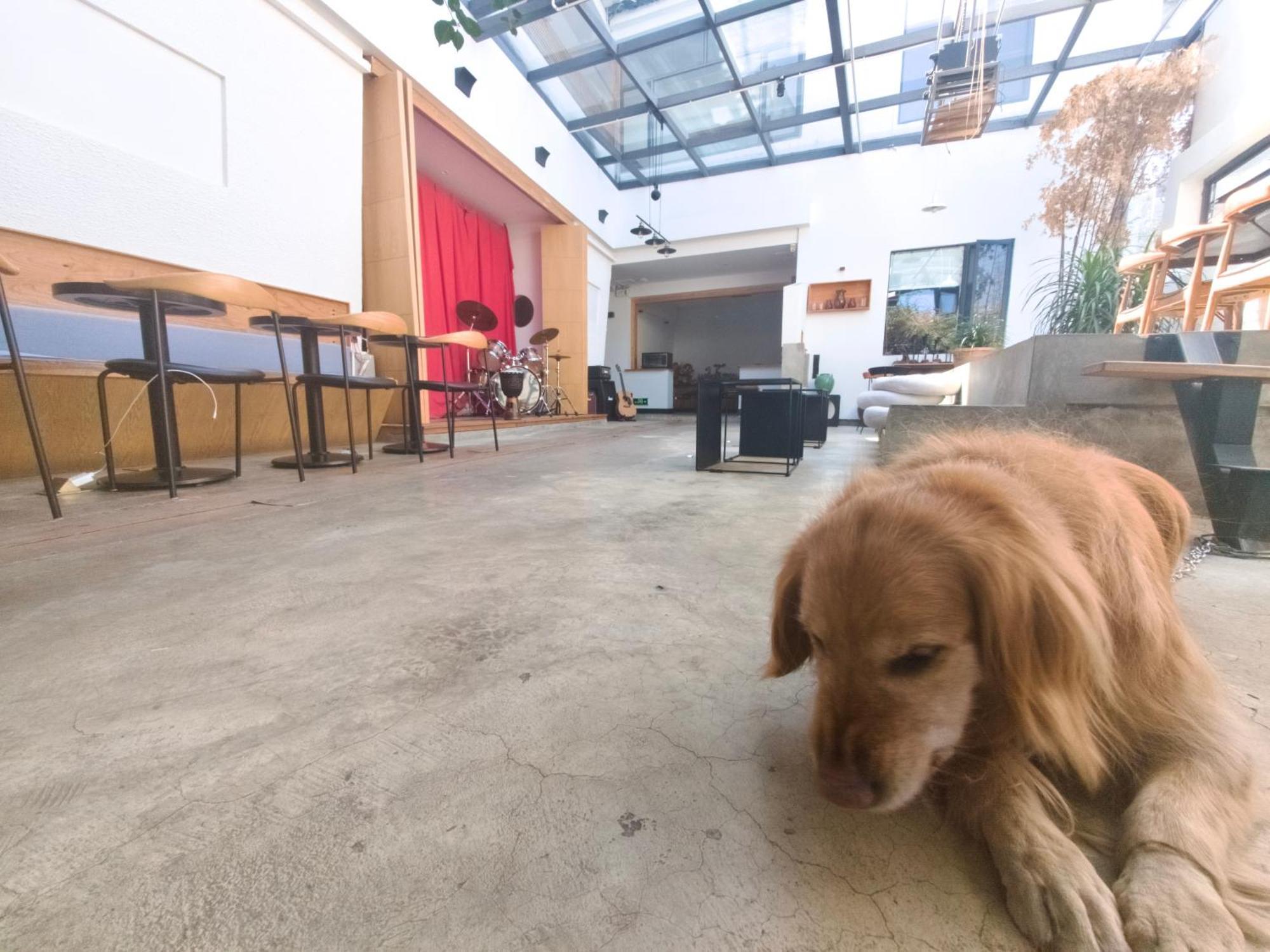 Dali Loft Travelling With Hostel Εξωτερικό φωτογραφία
