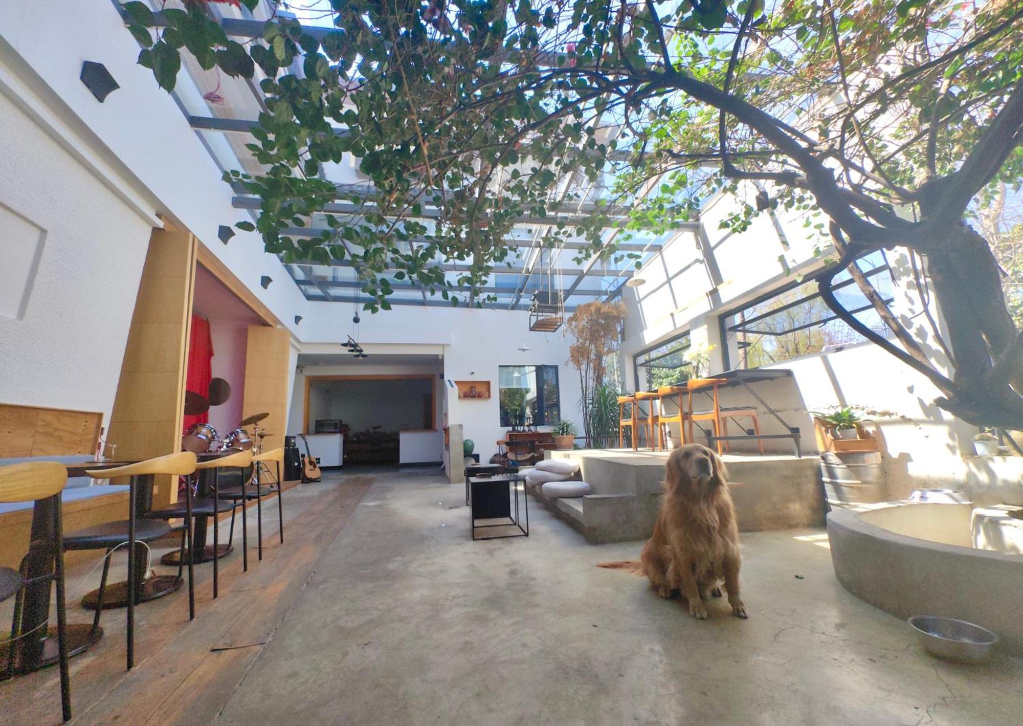 Dali Loft Travelling With Hostel Εξωτερικό φωτογραφία